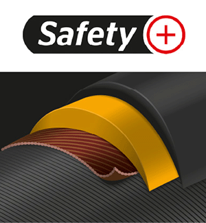 SafetyPlus